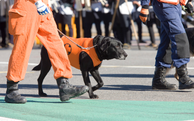 災害救助犬の支援 興和測量設計